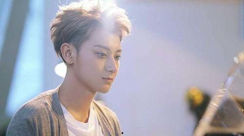 非科班的明星,非科班出身明星的璀璨星途